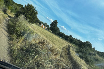 KANGIRLI 1300 m2  DENİZ MANZARALI TARLA