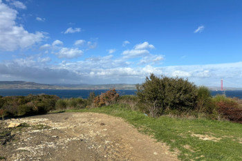 ÇANAKKALE SULUCA DA FULL MANZARALI TARLA