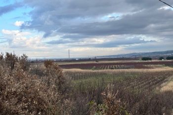 KANGIRLI 10749 m2 MEYVA BAHÇESİ